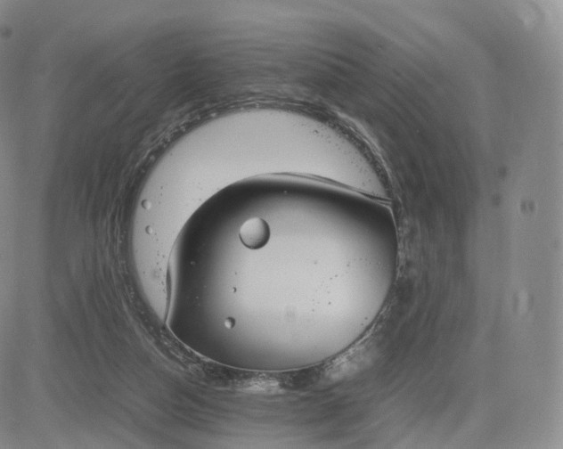 X0000083600162200702231755