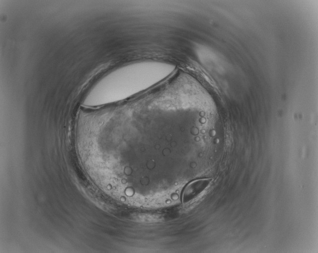 X0000083600163200702231755