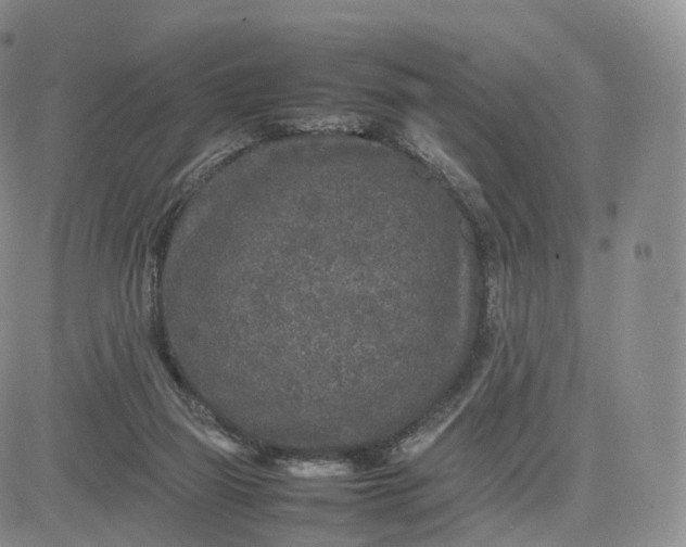 X0000083600165200702231755