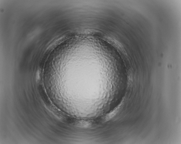 X0000083600166200702231755