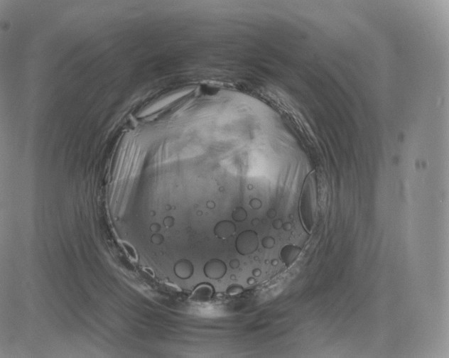 X0000083600167200702231755