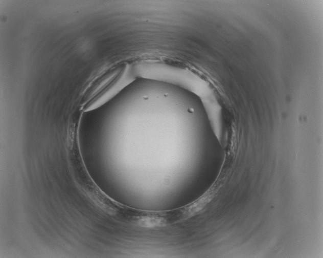 X0000083600168200702231755