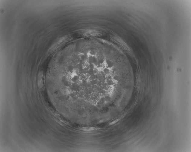 X0000083600169200702231755