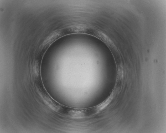 X0000083600170200702231755