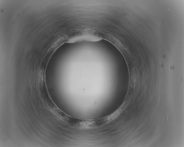 X0000083600172200702231755