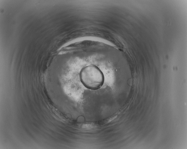 X0000083600173200702231755