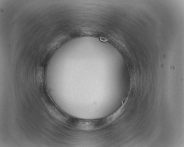 X0000083600174200702231755