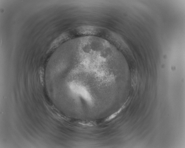 X0000083600175200702231755