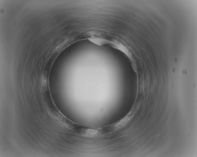 X0000083600176200702231756