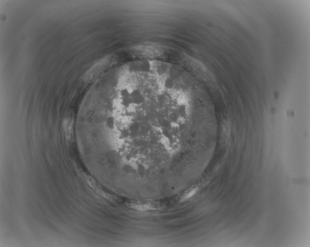 X0000083600177200702231756