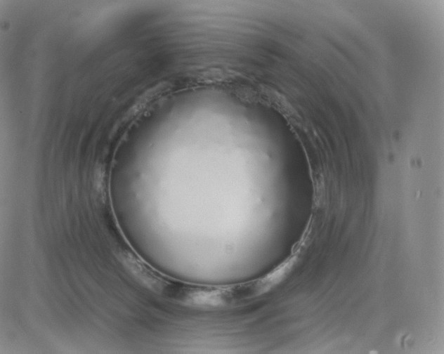 X0000083600178200702231756