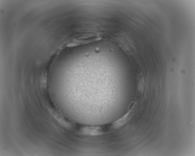 X0000083600179200702231756