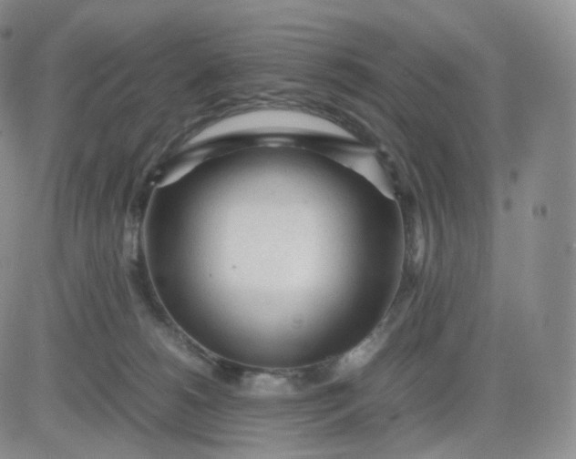 X0000083600180200702231756