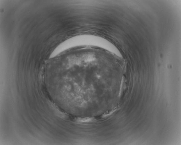 X0000083600181200702231756