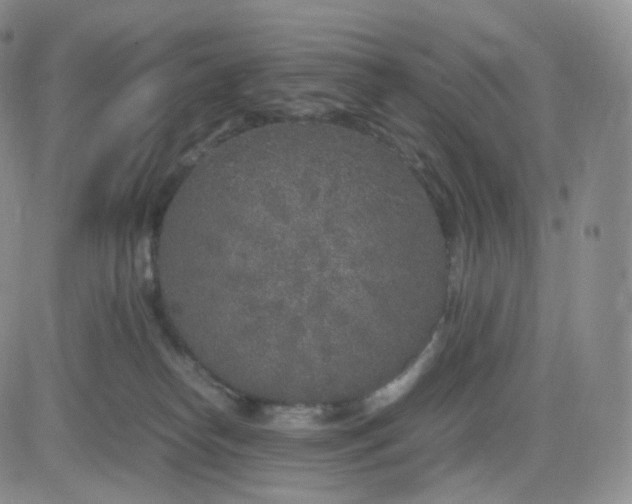 X0000083600182200702231756