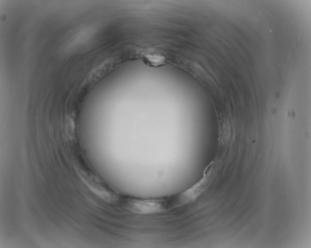 X0000083600183200702231756