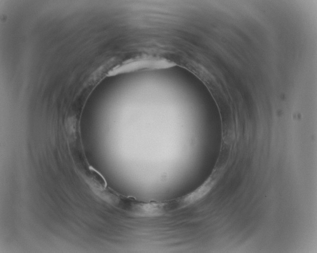 X0000083600184200702231756