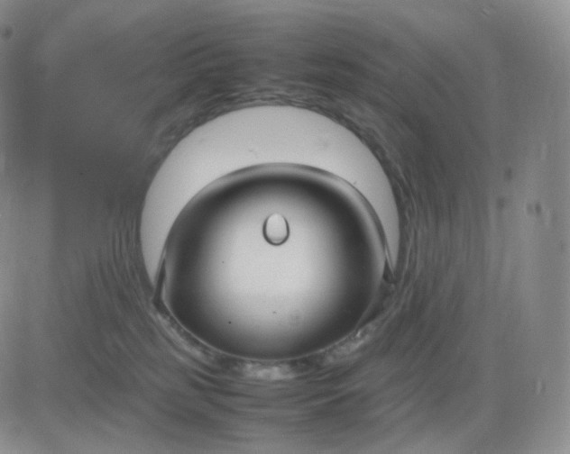 X0000083600185200702231756