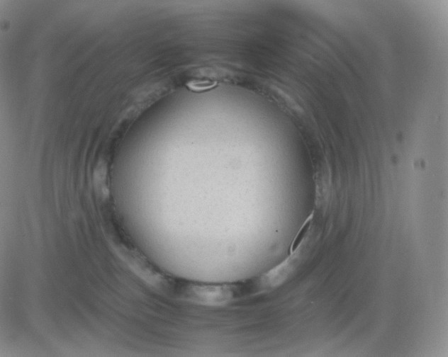 X0000083600187200702231756