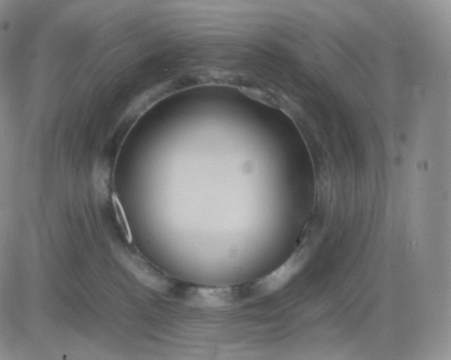 X0000083600188200702231756