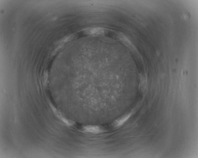 X0000083600189200702231756