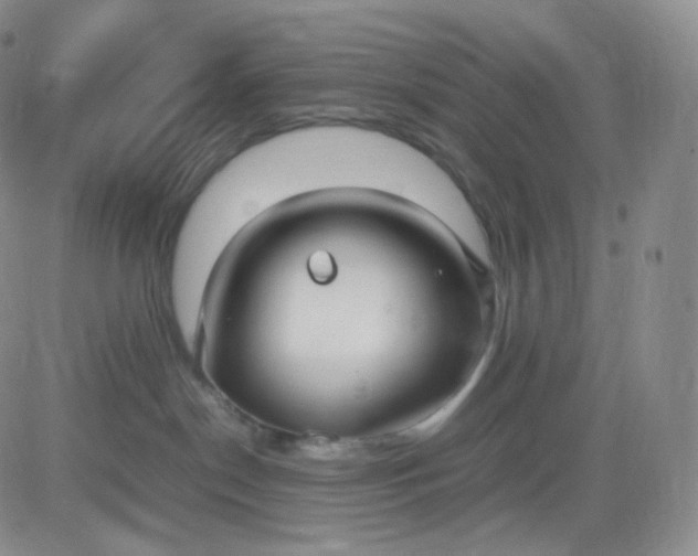 X0000083600190200702231756