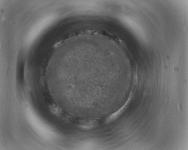 X0000083600191200702231756