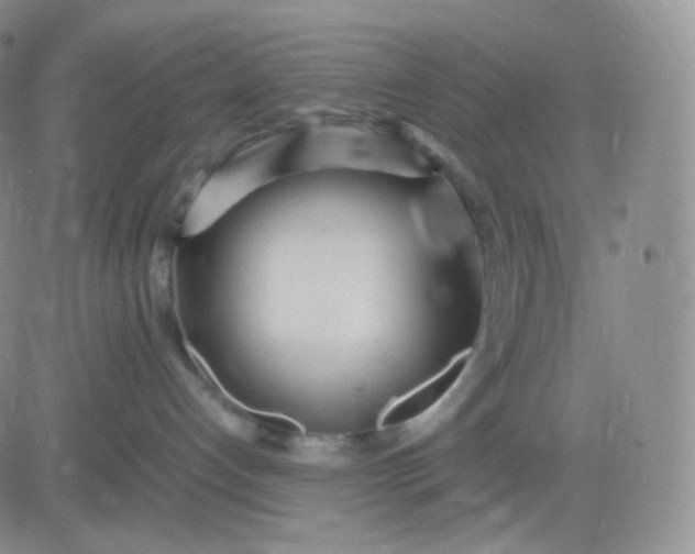 X0000083600192200702231756