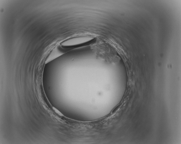 X0000083600193200702231755