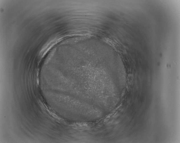 X0000083600194200702231755