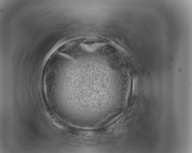 X0000083600195200702231755