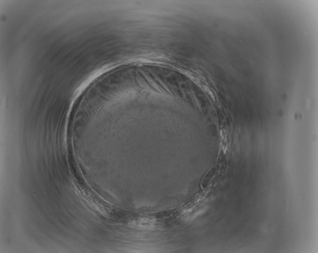 X0000083600196200702231755