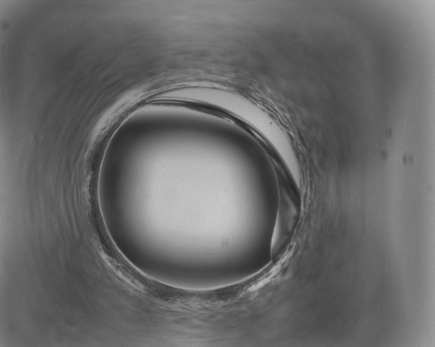 X0000083600197200702231755