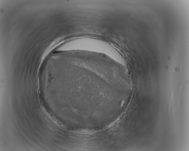 X0000083600198200702231755