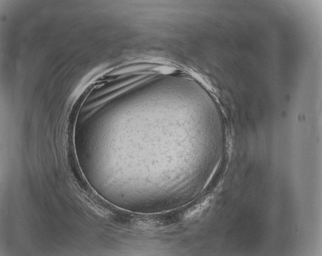 X0000083600199200702231755