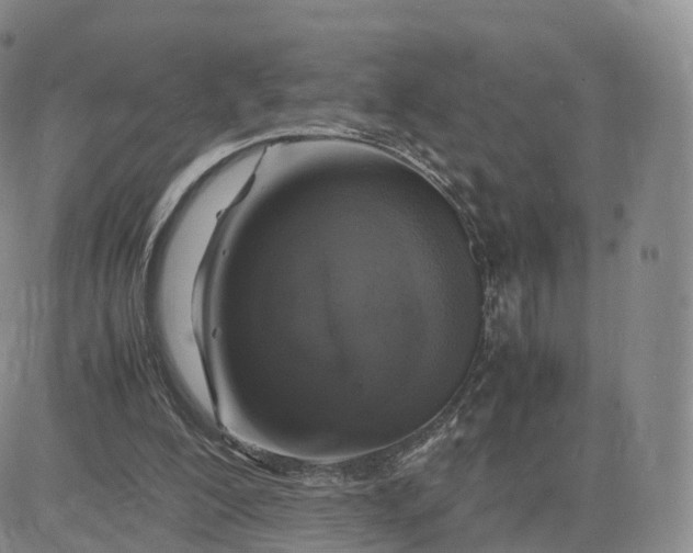 X0000083600200200702231755