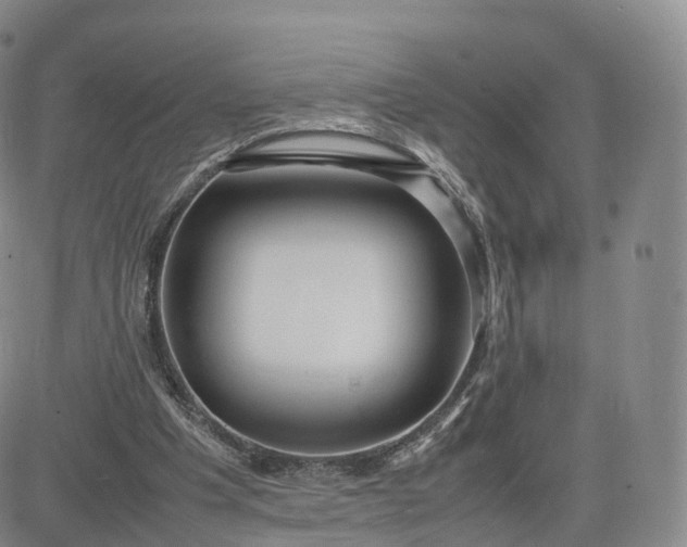 X0000083600201200702231755