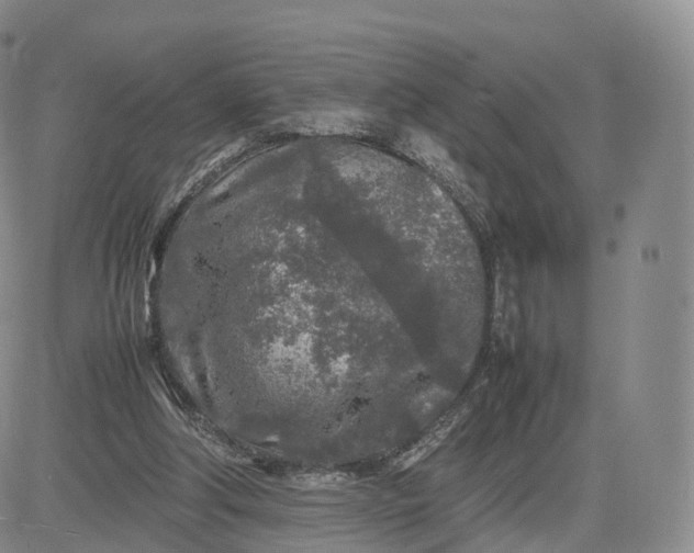 X0000083600202200702231755