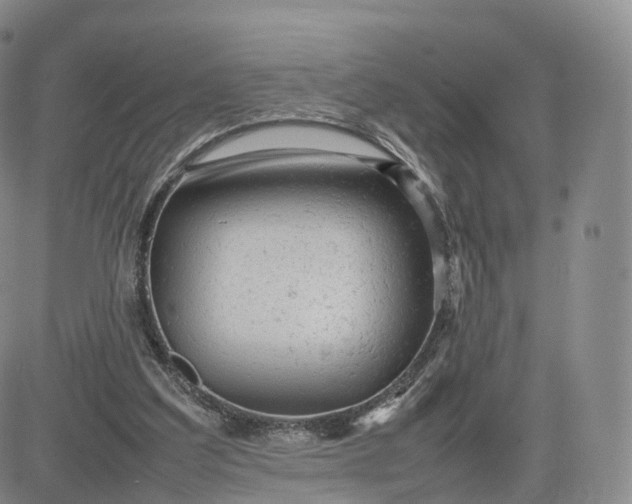 X0000083600203200702231755