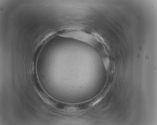 X0000083600205200702231755