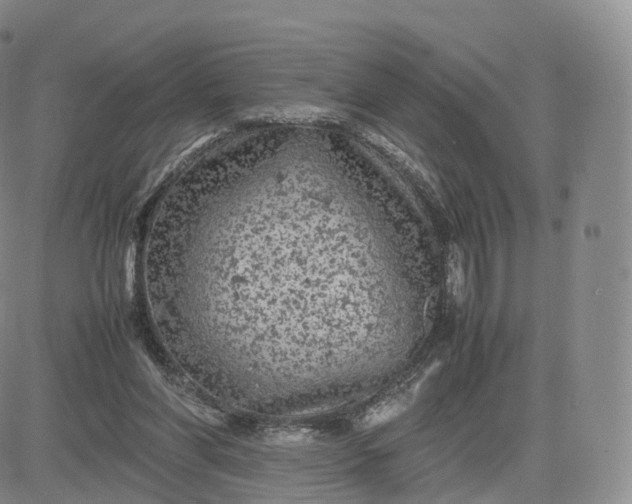 X0000083600206200702231755