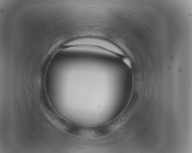 X0000083600207200702231755