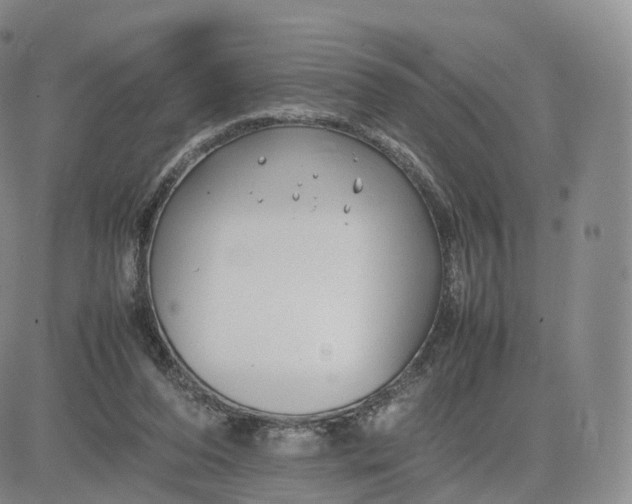 X0000083600208200702231755