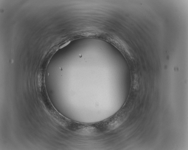 X0000083600210200702231755