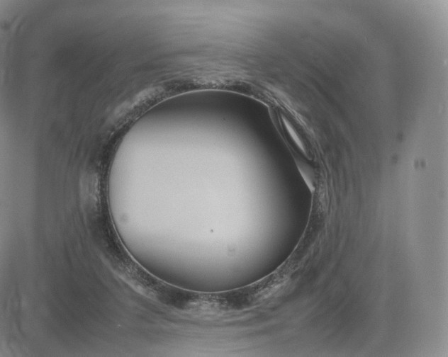 X0000083600211200702231755