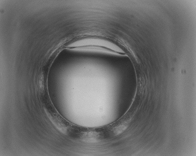 X0000083600212200702231755