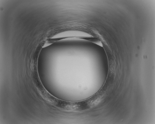 X0000083600213200702231755