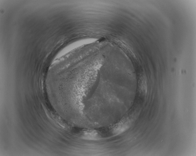 X0000083600214200702231755