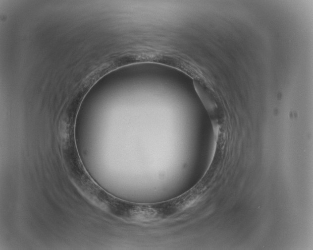 X0000083600215200702231755