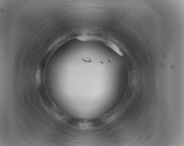 X0000083600216200702231755